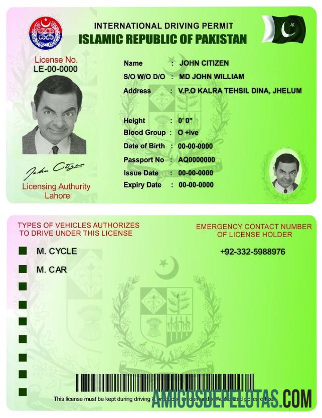 Permissão Internacional para Dirigir no Paquistão modelo